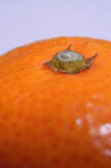 ̎ʐ^