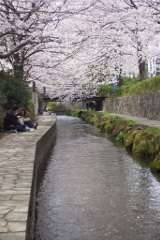 今月の写真